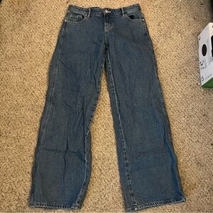 Pacsun Baggy Lowrise Jeans